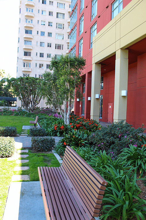 IMG_0508 commercial landscape maintenance in torrance ca