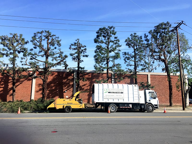 tree-service-3 tree-service-3
