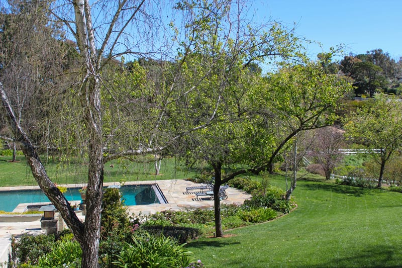 Landscape design in backyard