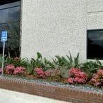 irvine-office-2