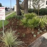 Torrance Medical Plaza