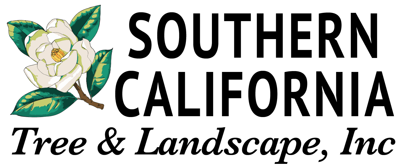SCTL Logo